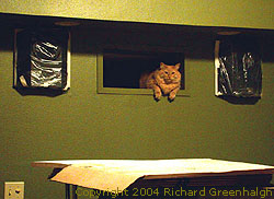 Fluffy the Cat lounges in the projection booth porthole. Photo copyright 2004 Richard Greenhalgh.