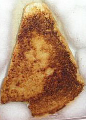 Photo: Grilled cheese sandwich with an image of the Virgin Mary in the crust.